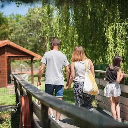 Prestige 13 Piscine Partagee Camping *